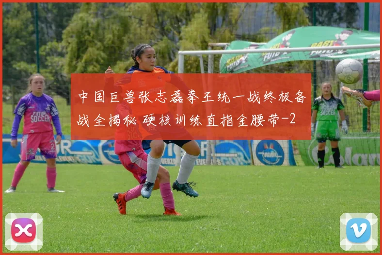 中国巨兽张志磊拳王统一战终极备战全揭秘 硬核训练直指金腰带